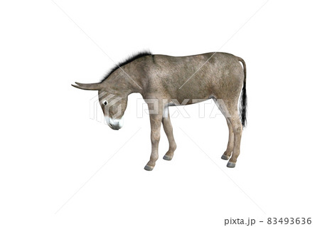 Photo-realistic illustration of the donkey with different poses and angles. 3D rendering illustration. 83493636