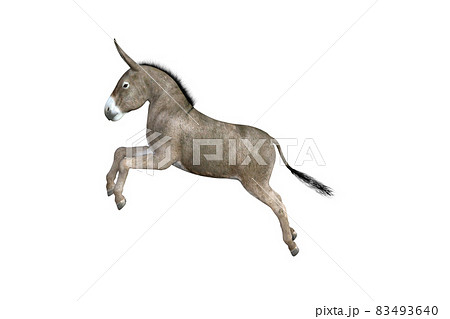 Photo-realistic illustration of the donkey with different poses and angles. 3D rendering illustration. 83493640