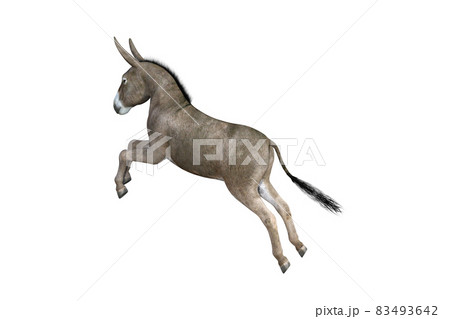 Photo-realistic illustration of the donkey with different poses and angles. 3D rendering illustration. 83493642