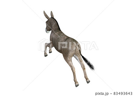 Photo-realistic illustration of the donkey with different poses and angles. 3D rendering illustration. 83493643