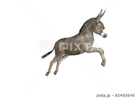 Photo-realistic illustration of the donkey with different poses and angles. 3D rendering illustration. Photo-realistic illustration of the donkey with different poses and angles. 3D rendering illustration. 83493649