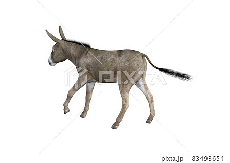 Photo-realistic illustration of the donkey with different poses and angles. 3D rendering illustration. 83493654