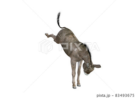Photo-realistic illustration of the donkey with different poses and angles. 3D rendering illustration. 83493675