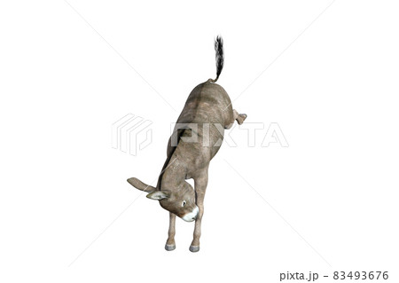 Photo-realistic illustration of the donkey with different poses and angles. 3D rendering illustration. 83493676