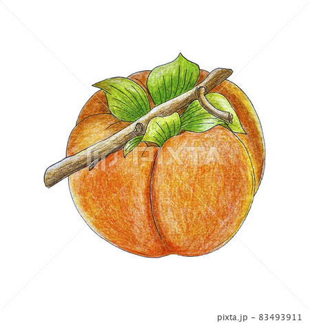 Orange Drawing PNG Images With Transparent Background  Free Download On  Lovepik