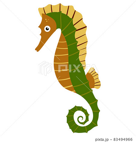 Beautiful cartoon illustration with colorful sea animals sea horse on white background for print design. Kid graphic. Sea underwater life. Vector isolated hand drawing. 83494966