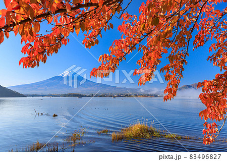 山梨_富士山と紅葉の絶景 山梨_富士山と紅葉の絶景 83496827