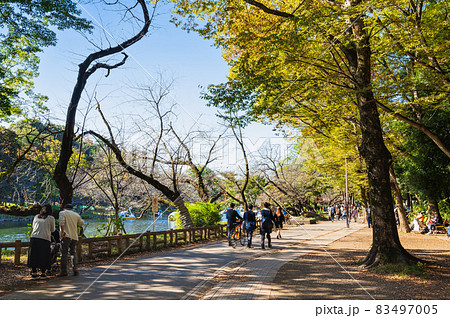 井の頭公園　秋の休日 83497005