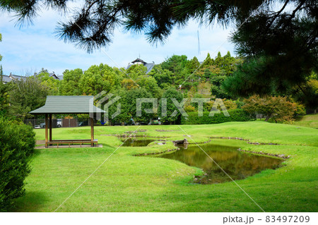 旧大乗院庭園 奈良 紅葉の始まり 旧大乗院庭園 奈良 紅葉の始まり 83497209