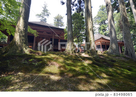 比叡山延暦寺　西塔　にない堂　滋賀県大津市 83498065