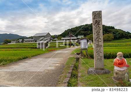奈良県明日香村　秋の橘寺前の棚田の稲と彼岸花 83498223