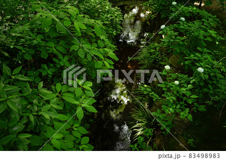 日本庭園 滝と小川	 83498983