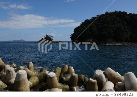 徳島海部郡宍喰町 鞆の浦海岸の小島と丸バエ 徳島海部郡宍喰町 鞆の浦海岸の小島と丸バエ 83499222