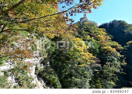 少し早い養老渓谷の紅葉 少し早い養老渓谷の紅葉 83499247