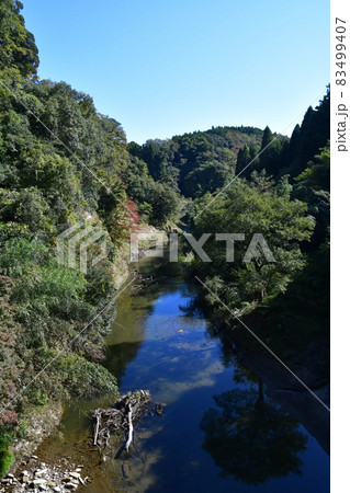 少し早い養老渓谷の紅葉 少し早い養老渓谷の紅葉 83499407