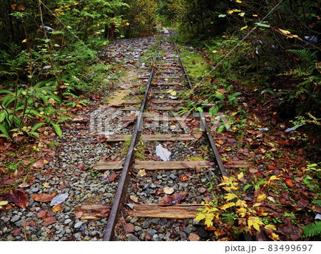 線路　廃線の線路と自然の風景 83499697