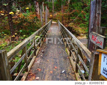 木造の橋　赤沢自然休養林の遊歩道の冷沢コースの橋 83499787