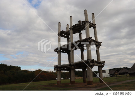 三内丸山遺跡2021（大型掘立柱建物跡） 83499930