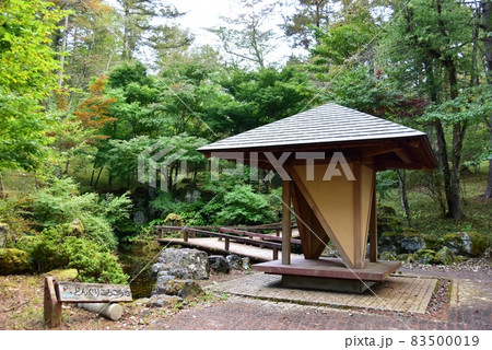 山中湖文学の森　どんぐりころころ池と散策路 83500019