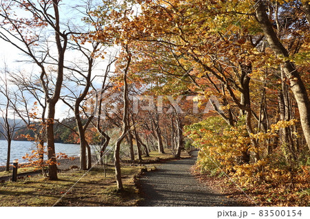 十和田湖の紅葉2021 十和田湖の紅葉2021 83500154