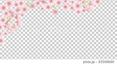 満開の桜 83500680
