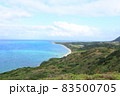 石垣島　沖縄の自然 83500705