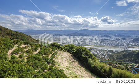 みかんの丘からの眺望 83501001