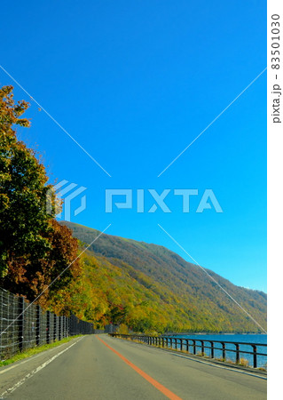支笏湖に続く道の美しい紅葉 83501030
