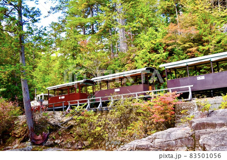 木曽赤沢森林鉄道を走る列車 83501056