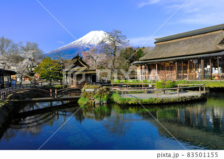 日本の原風景　春の忍野八海と富士山　山梨県忍野村 83501155