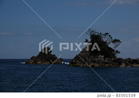 徳島海部郡宍喰町 鞆の浦海岸の丸バエとゴンザのハナ 徳島海部郡宍喰町 鞆の浦海岸の丸バエとゴンザのハナ 83501539