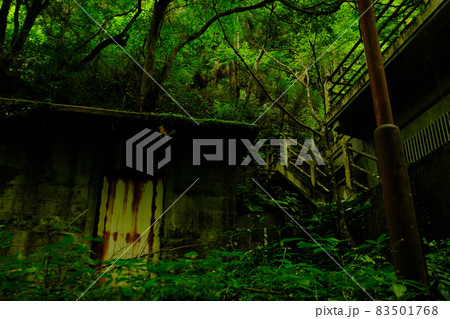 森の中の廃墟 森の中の廃墟 83501768