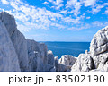 和歌山県白崎海岸 83502190