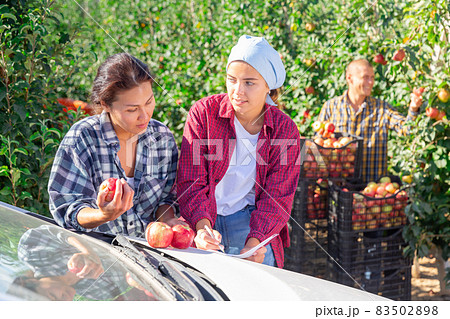 Woman farmer discussing documents with female partner in garden during apple harvest 83502898