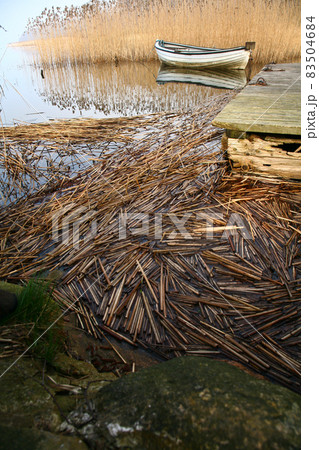 Lake and boat in Denmark in Autumn 83504684