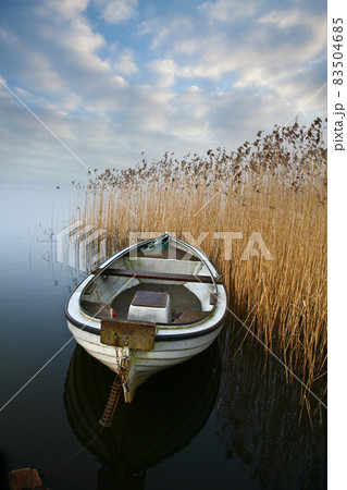 Lake and boat in Denmark in Autumn Lake and boat in Denmark in Autumn 83504685