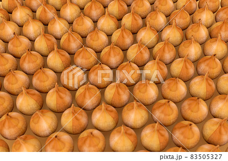 3D realistic sets of bow models lying next to each other. Isometric bow models on a beige background. 3D graphics, close-up 83505327