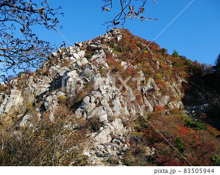 鎌ヶ岳山頂直下から　2021年10月 83505944