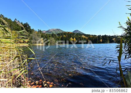 秋のオンネトー 秋のオンネトー 83506862
