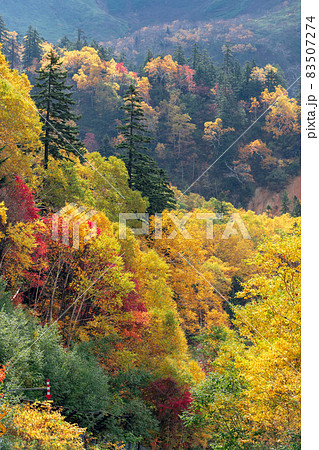 北海道秋の風景 十勝岳連峰の紅葉 北海道秋の風景 十勝岳連峰の紅葉 83507274