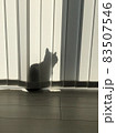 猫 83507546
