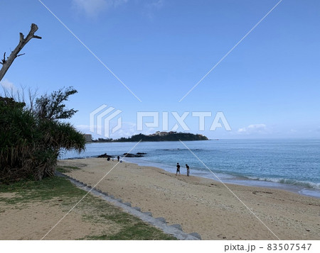 海 海 83507547
