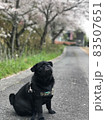 犬 83507651