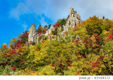 北海道秋の風景　層雲峡の紅葉 83508372