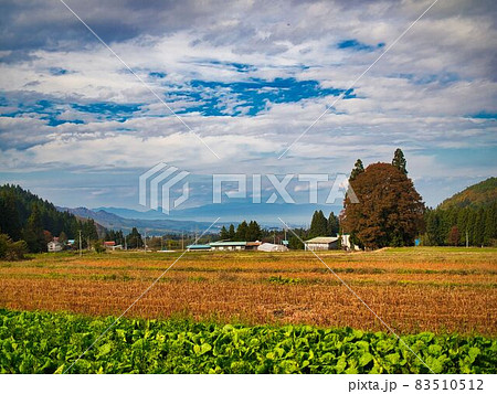 米沢市　秋のトトロ 83510512