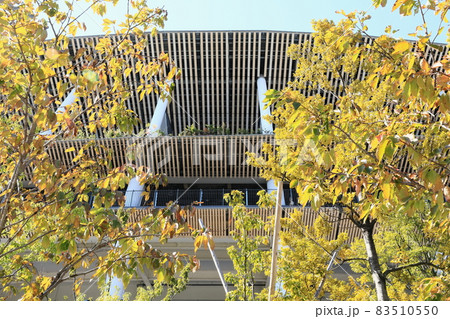 紅葉と国立競技場1 83510550