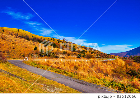 長野県 蓼科高原 ビーナスライン 紅葉 83512066