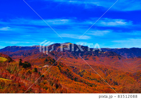 長野県 蓼科高原 ビーナスライン 紅葉　浅間連峰 83512088