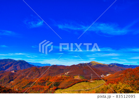 長野県 蓼科高原 ビーナスライン 紅葉 83512095