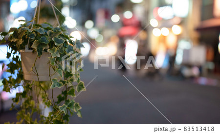 夜の商店街をバックに観葉植物を撮影 夜の商店街をバックに観葉植物を撮影 83513418